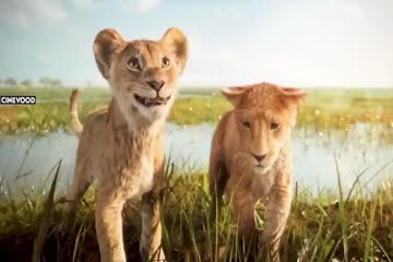 Mufasa The Lion King 2024 Dub in Hindi thumb